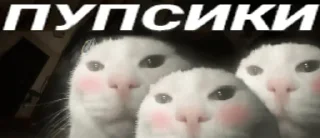 Sticker from Коллекция Гандончиков