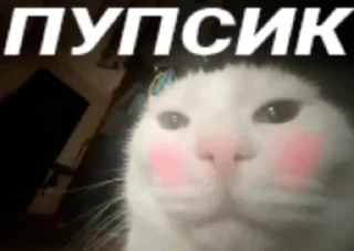 Sticker from Коллекция Гандончиков