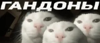 Sticker from Коллекция Гандончиков