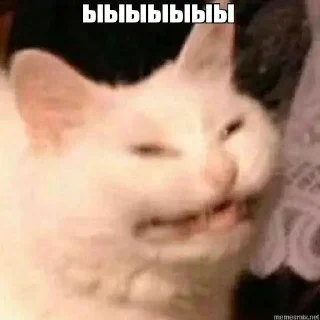 😳 emoji Пизда Telegram sticker 7 of 120