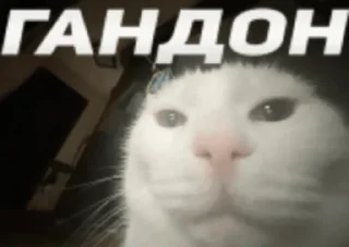 Sticker from Коллекция Гандончиков