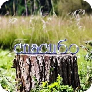 🌳 emoji Мясокомбинат Telegram sticker 24 of 38