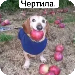 Sticker from Го в лигу?