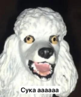 Sticker from От горького меня торчит