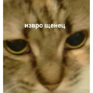 🤪 emoji Больше стикеров 👉🏻 @stickertg4 Telegram sticker 9 of 120