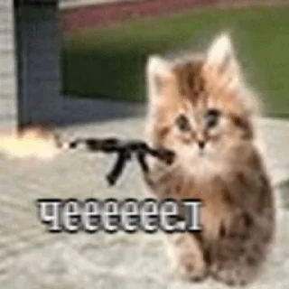 🌟 emoji wholesome kitties Telegram sticker 14 of 19