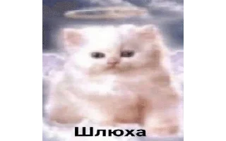 🌟 emoji wholesome kitties Telegram sticker 13 of 19
