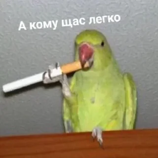 🤨 emoji Больше стикеров 👉🏻 @stickertg4 Telegram sticker 20 of 120