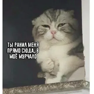 🧐 emoji Больше стикеров 👉🏻 @stickertg4 Telegram sticker 12 of 120