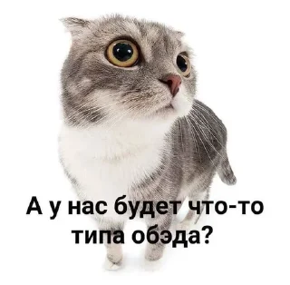 🍕 emoji На случай важных переговоров Telegram sticker 22 of 37