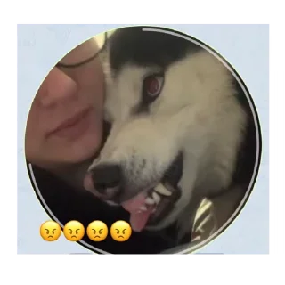 🤬 emoji Машка 🤓 Telegram sticker 11 of 11