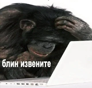Sticker from ну не жиза ли