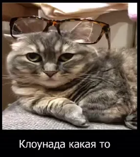 🤩 emoji Всякое разное Telegram sticker 9 of 45