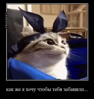 🤩 emoji Всякое разное Telegram sticker 11 of 45