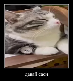 🤩 emoji Всякое разное Telegram sticker 6 of 45