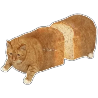 Sticker from Pinterest Meme