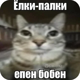 Sticker from Котики и др