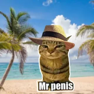 Sticker from Mr_penis