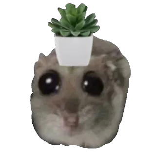 🪴 emoji @sticksbb 🩷 <- канал со стиками Telegram sticker 18 of 120