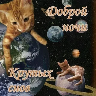 Sticker from мяу 🤠