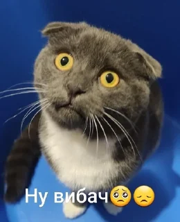 Sticker from Стікери від Софи
