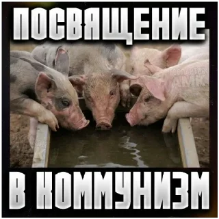 Sticker from Они такие...