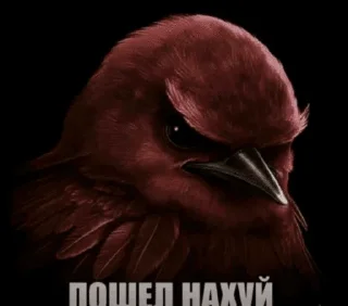 Sticker from Птицы
