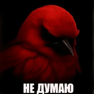 Sticker from Птицы