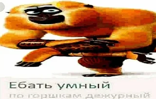 Sticker from Gu-gu pack ахаха