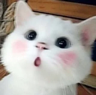 😮 emoji It's called somehow Telegram sticker 5 of 42