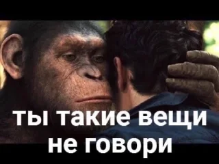🐒 emoji Ну че там Telegram sticker 20 of 112