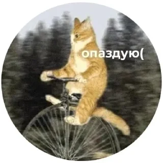 🫨 emoji стикерпак мпули Telegram sticker 7 of 89
