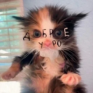 🥰 emoji стикерпак мпули Telegram sticker 8 of 89