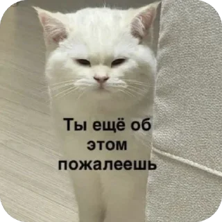🫥 emoji Персик Telegram sticker 9 of 26