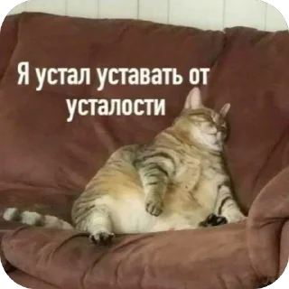 🫥 emoji Персик Telegram sticker 20 of 26