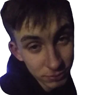 🫥 emoji Да, я Telegram sticker 15 of 32