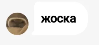 Sticker from Хуйню настрочил