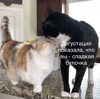 🌟 emoji Трёхэтажная_ЛЕГУЩЬКА Telegram sticker 12 of 120