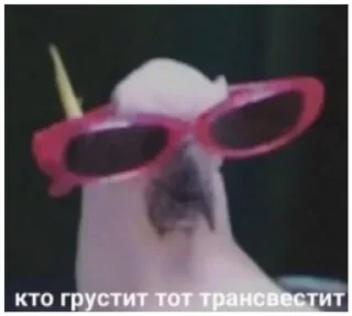 🤡 emoji кринжатина Telegram sticker 24 of 107