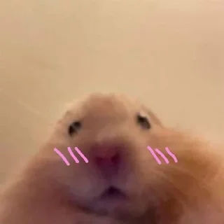 Sticker from my_stickers