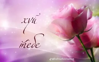 Sticker from Милые открытки ☺️