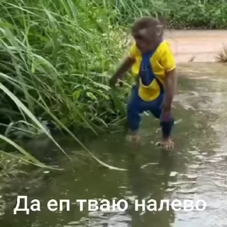 🤕 emoji ЧЕФИРЧИК :: @gptVPNrbot Telegram sticker 17 of 52