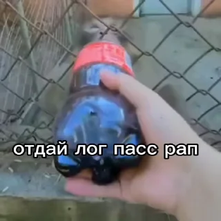 🤬 emoji ЧЕФИРЧИК :: @gptVPNrbot Telegram sticker 11 of 52