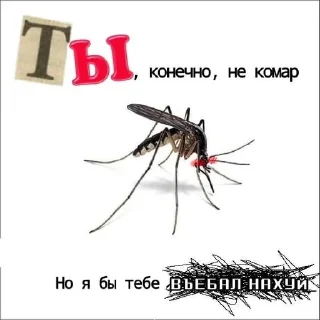 Sticker from Xdxdxd