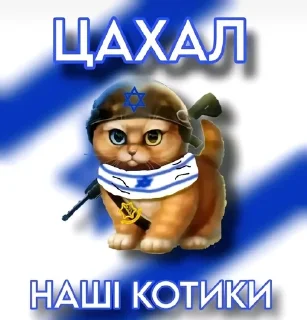 🌟 emoji Наші котики Telegram sticker 1 of 8