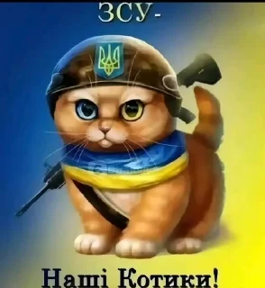 🌟 emoji Наші котики Telegram sticker 2 of 8