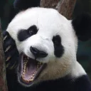 Sticker from Lazy Panda