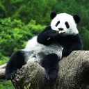Sticker from Lazy Panda