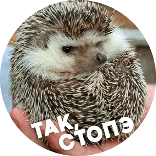 Sticker from CoC продажа