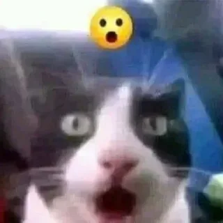 😲 emoji Стикер пак Lion'а минералки(не красть😡) Telegram sticker 18 of 66